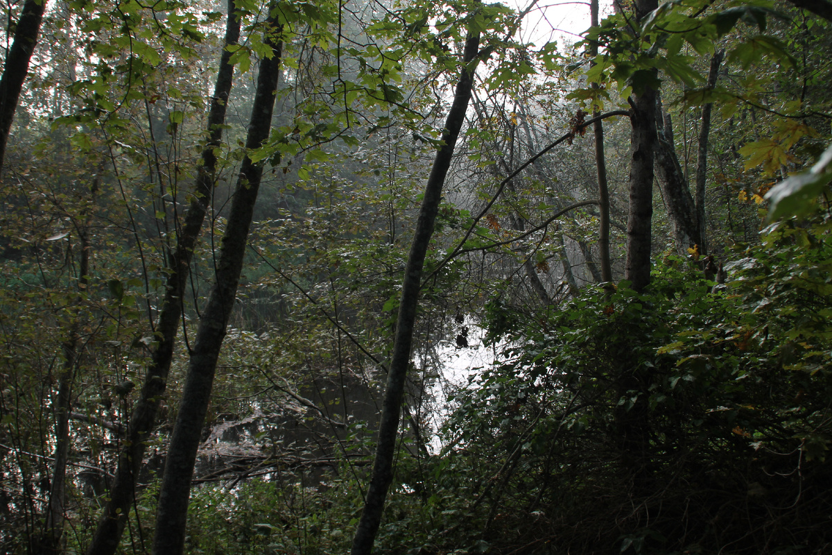 Река Утроя в Псковской области. Фото Автора.