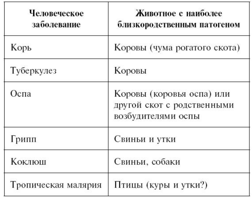 Таблица болезней из книги "Ружья, микробы и сталь". Источник: bookmate.ru