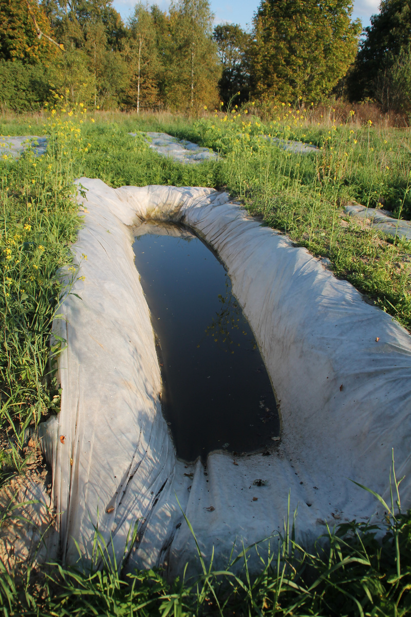 В Стране Тринадитиморья в 2023 году. Фото Автора.