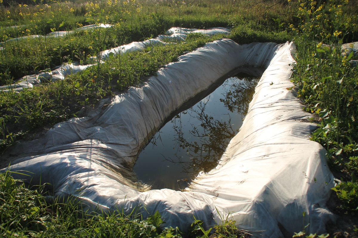 В Стране Тринадитиморья в 2023 году. Фото Автора.