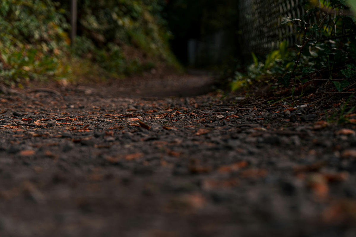 Картинка с бесплатного фотостока https://unsplash.com, автор Connor