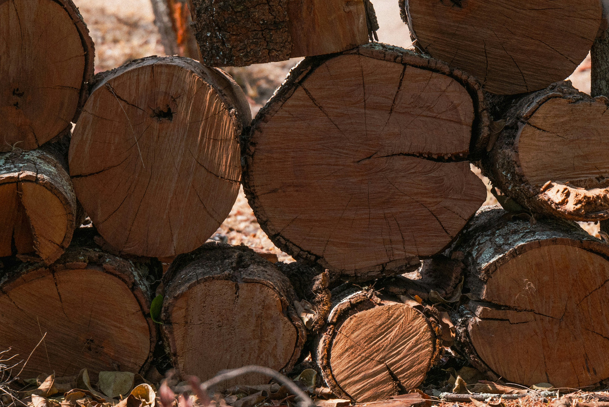 Картинка с бесплатного фотостока https://unsplash.com, автор José Boj