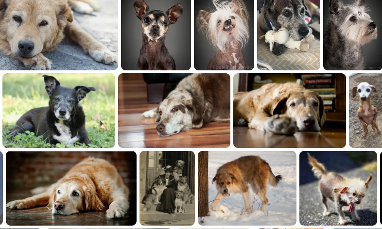 Любите  своих стариков, Найдите им доброе слово,
Ведь жизнь нелегка и сурова-
Хватает "пеньков" и "пинков" -
Жалейте своих стариков.