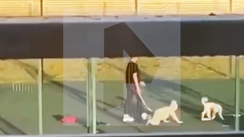 Фото: РЕН ТВ