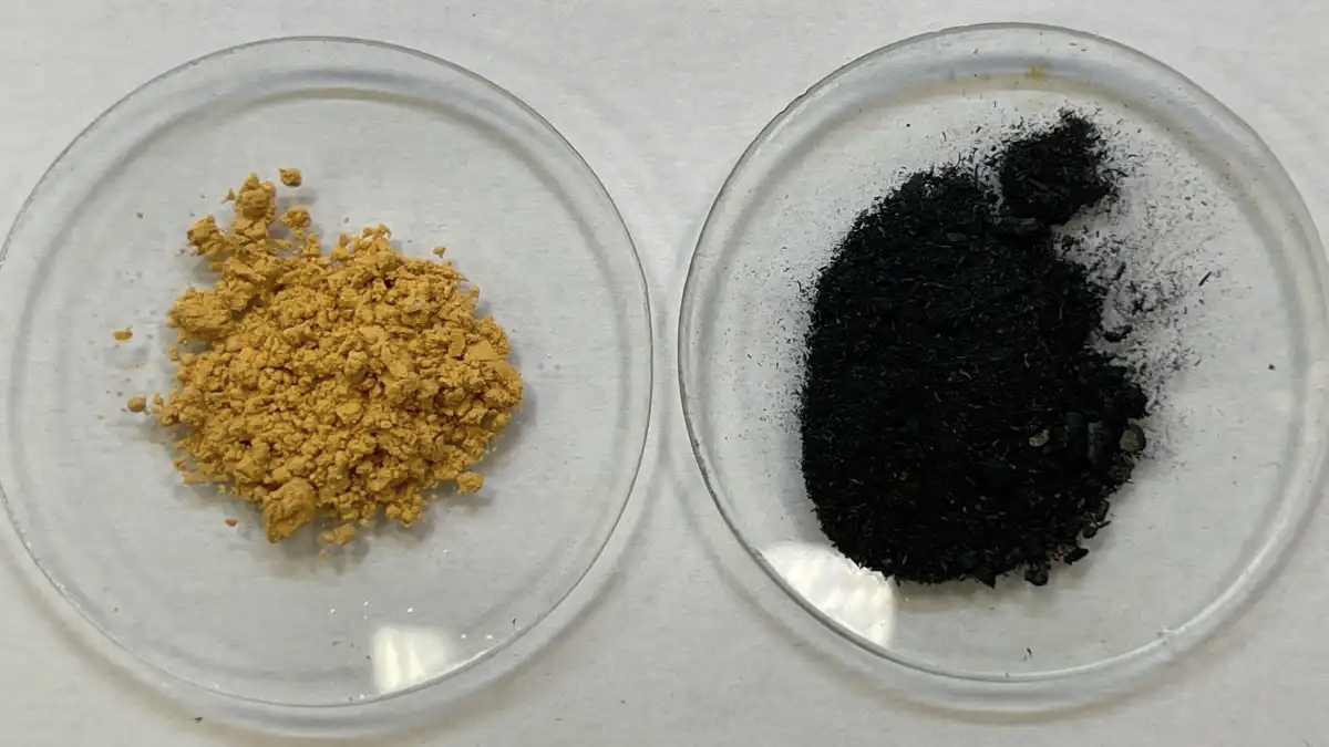 Фото:Вера БутоваСинтезированная в рамках проекта система доставки