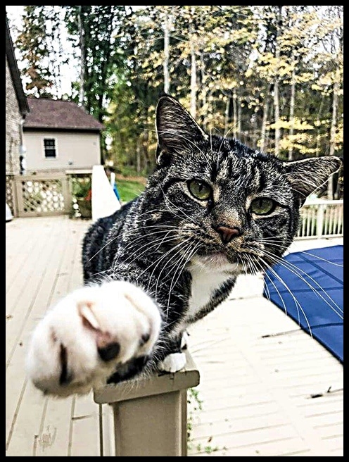 И чем вы думали, когда придумывали приметы?