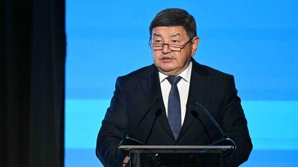    © Фото / пресс-служба кабмина КР