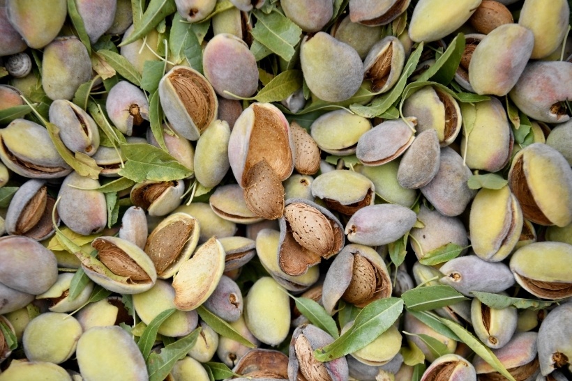     © РИА Новости. Константин Михальчевский