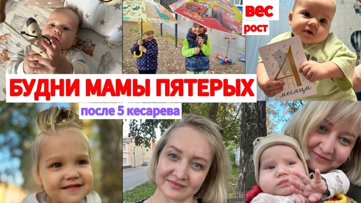 Скачать видео: ВЕС, РОСТ В 4 МЕСЯЦА⚖️ЗАБОТЫ, ДОМАШНИЕ ДЕЛА МАМЫ ПЯТЕРЫХ🐝НАСЫЩЕННЫЙ ВЛОГ☕️