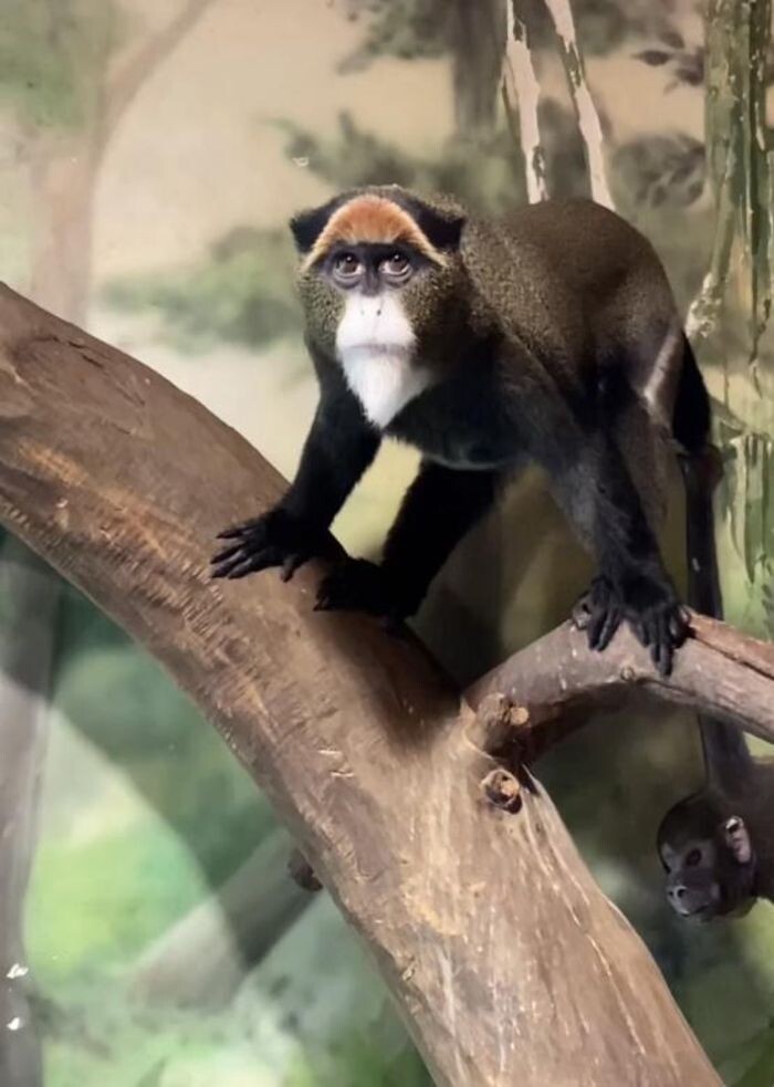 Источник фото: Пресс-служба фонда Лога