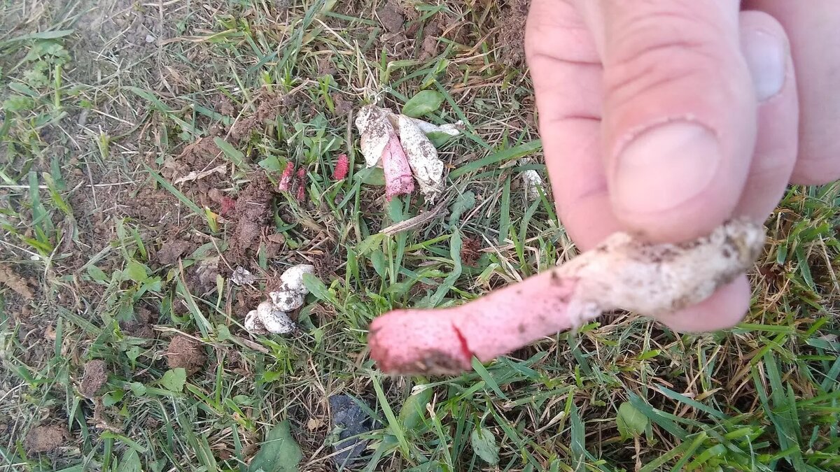     Источник: Сергей Гудымов, Вконтакте