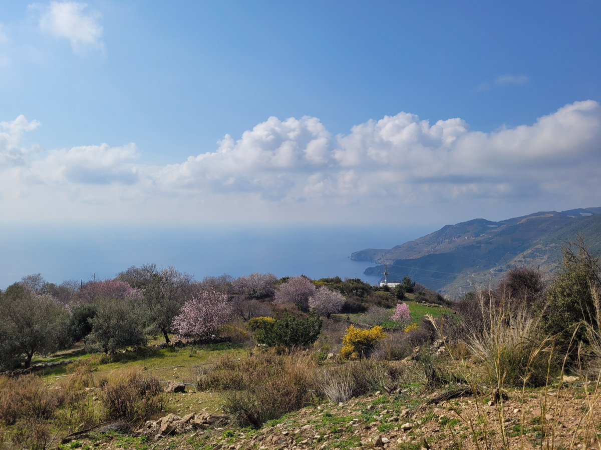 Фото автора. Турция. (воспоминания) 