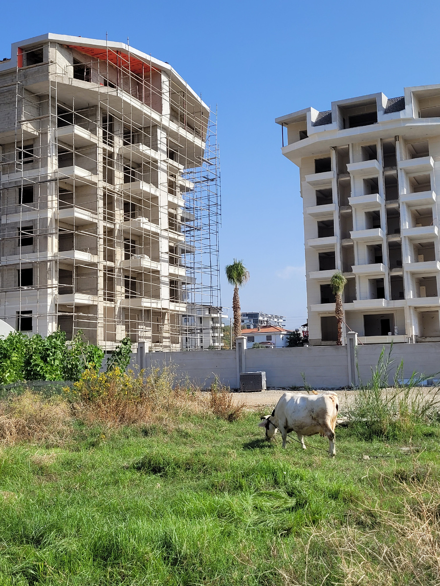 Фото автора. Газипаша. 