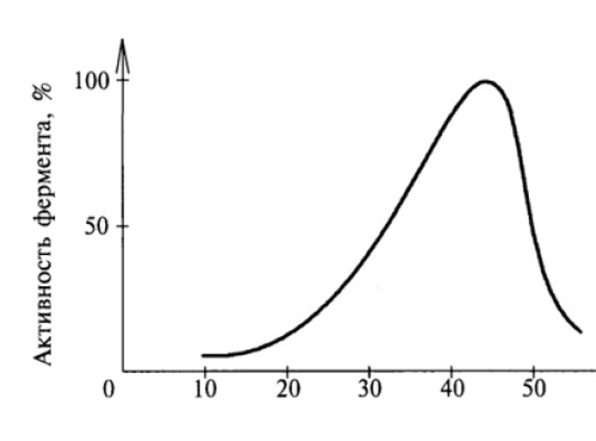 Зависимость ферментов от температуры и рн среды. Влияние ph на активность ферментов амилазы. Зависимость активности ферментов. Зависимость скорости ферментативной реакции от ph. Влияние температуры на активность ферментов.
