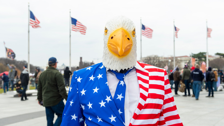 ФОТО: BRYAN REGAN/SHUTTERSTOCK.COM