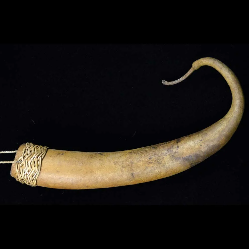 Фаллокрипт. Изображение из сети Интернет.