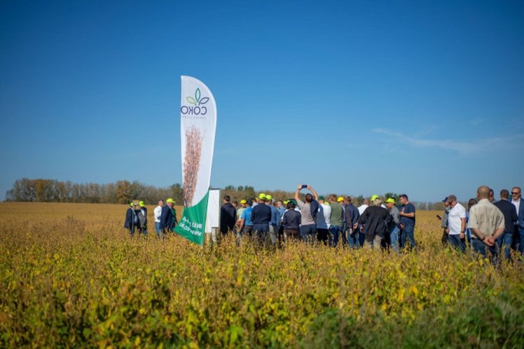    О хорошем урожае сои 2024 заявил МСХ Башкортостана