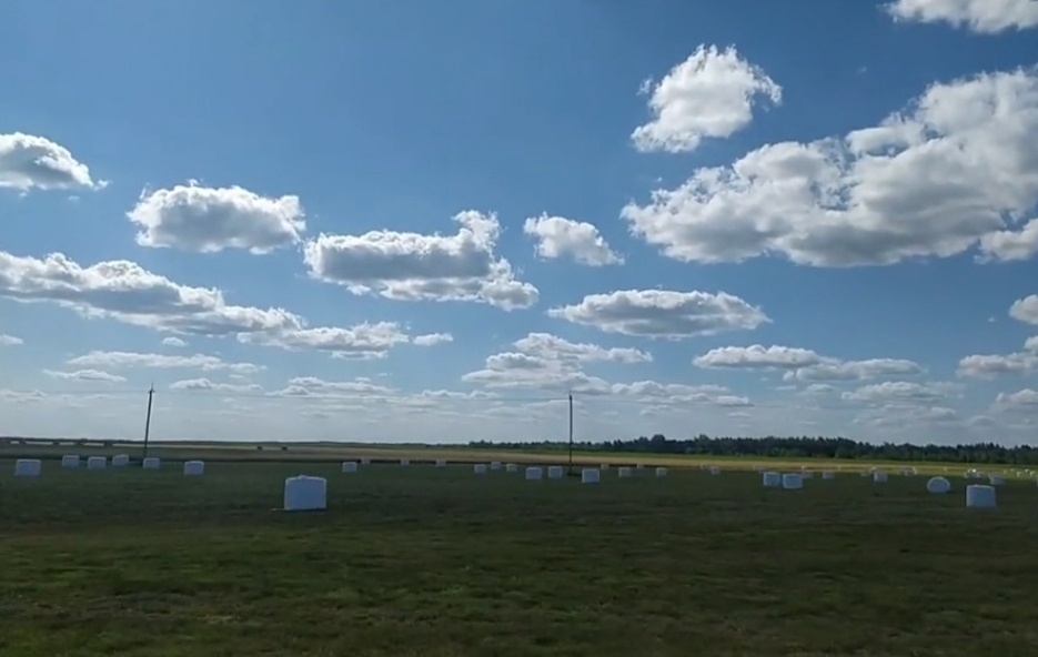 Белорусские тюки с соломой 