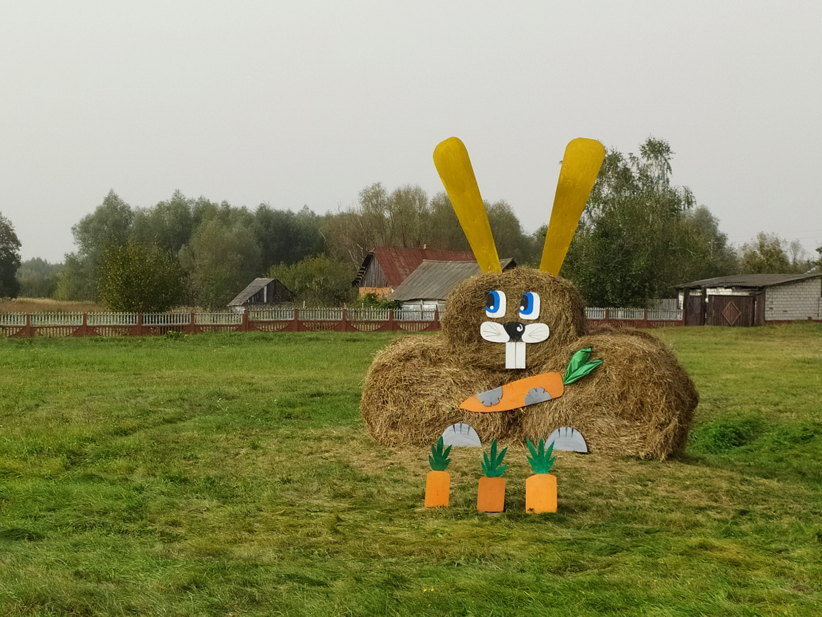 Кому морковь? Угощайтесь! Очень симпатичный заяц)