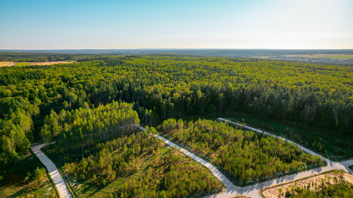 КП River Wood