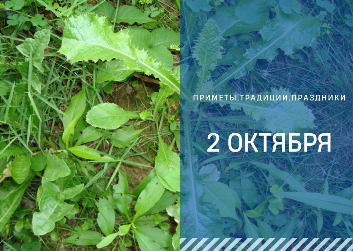   ГТРК "Ставрополье"