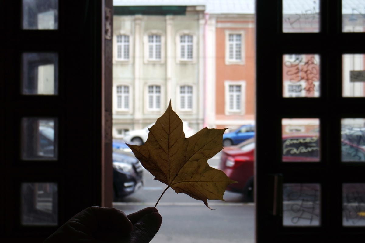 на Васильевском острове