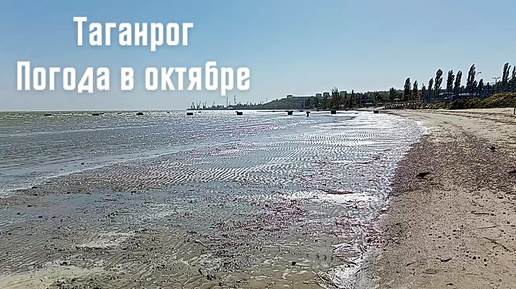 Город Таганрог, погода 1.10.2024 года.