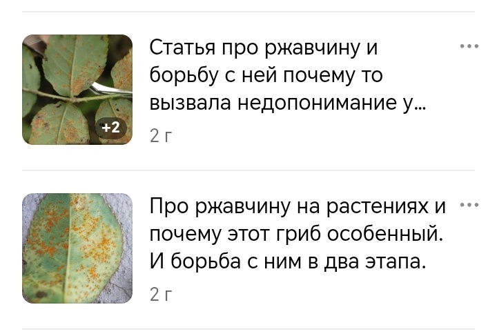 У меня, нет ржавчины и не было никогда! 