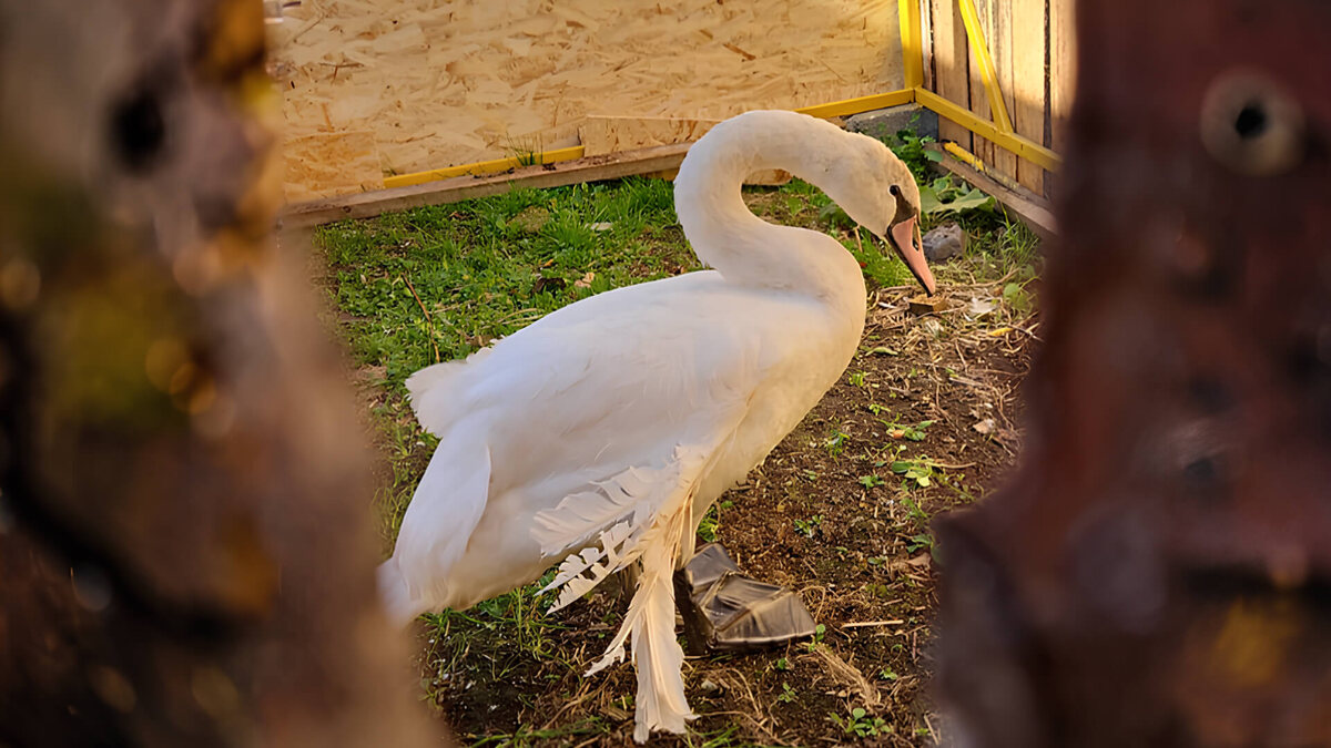    Фото из архива Юлии Жеребцовой