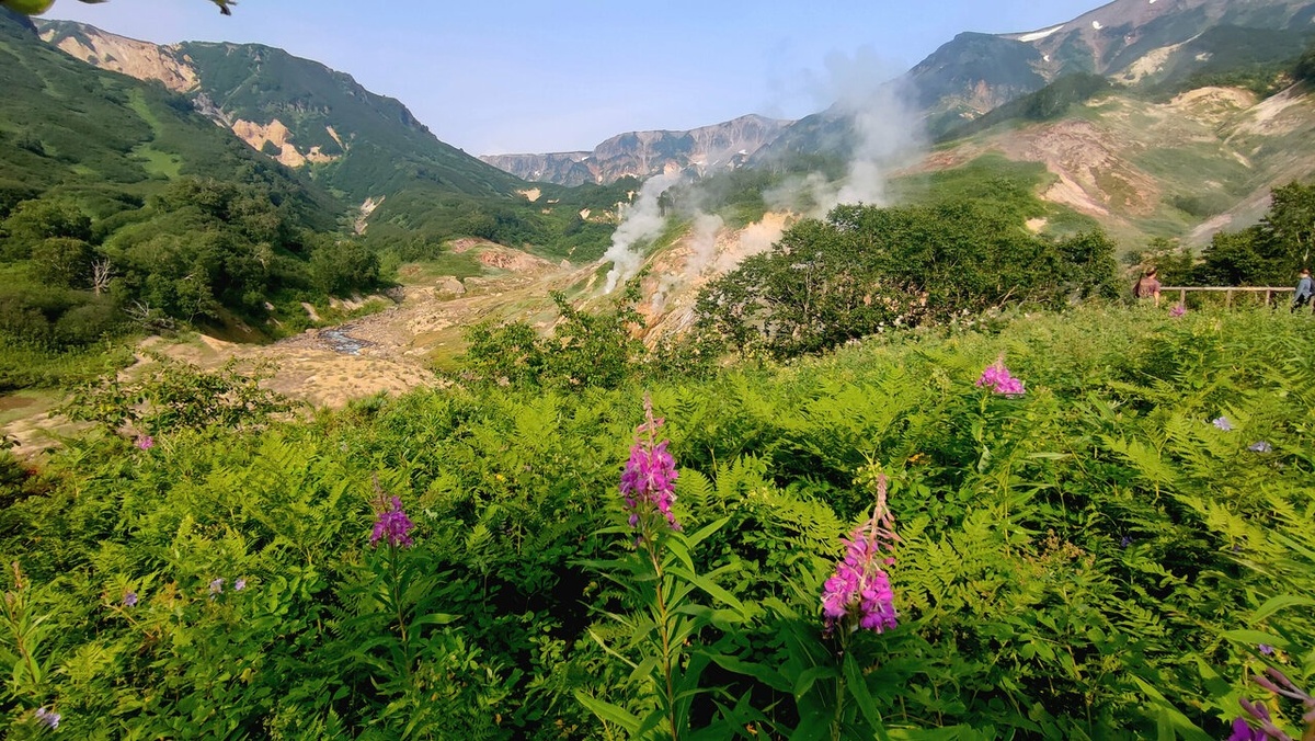 Долина гейзеров на Камчатке