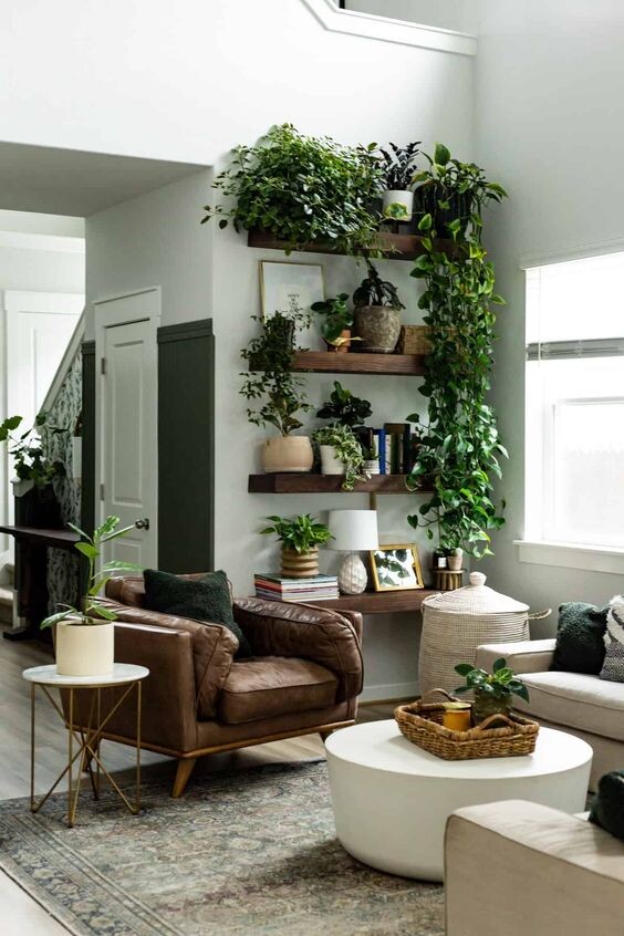 настенные полки на Pinterest Источник https://ru.pinterest.com