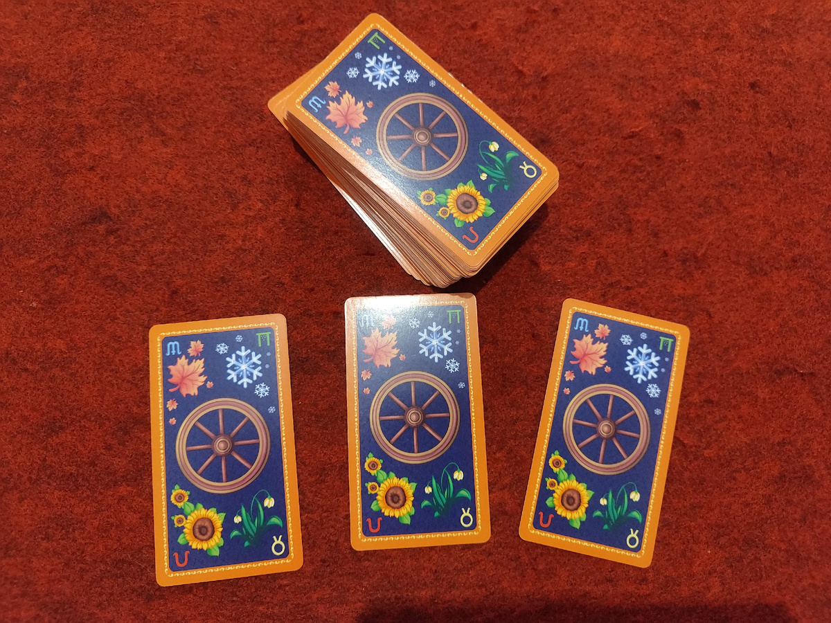 Фото автора.