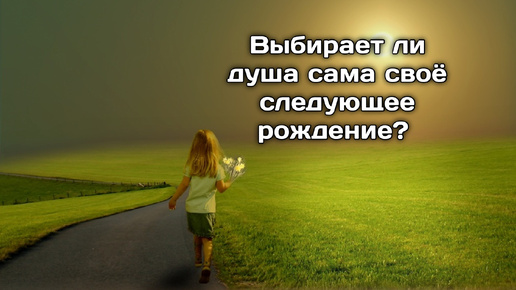 Может ли душа выбирать свое новое рождения, или условия предопределены?