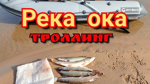 Descargar video: Осенний выход щуки.Троллинг в два спиннинга на ОКЕ