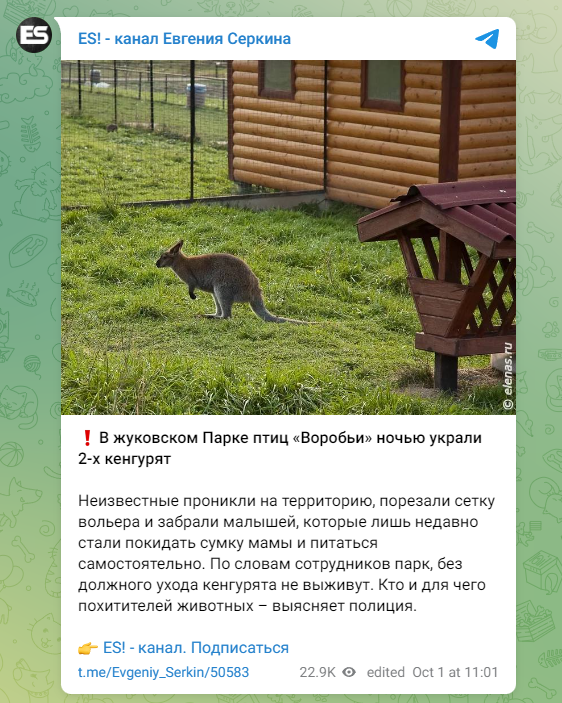 ФОТО: Скриншот https://t.me/Evgeniy_Serkin