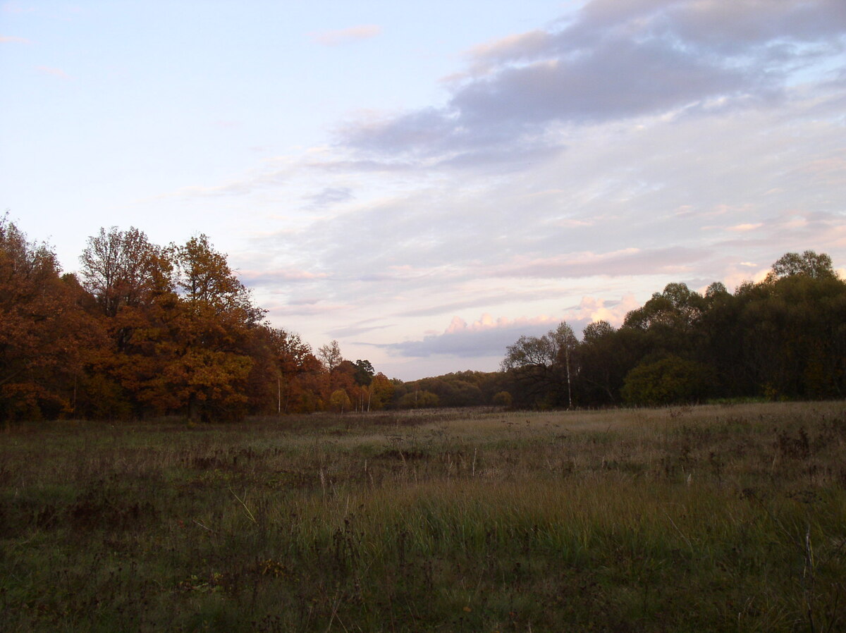Уж небо осенью дышало? (фото И.Лебединского)