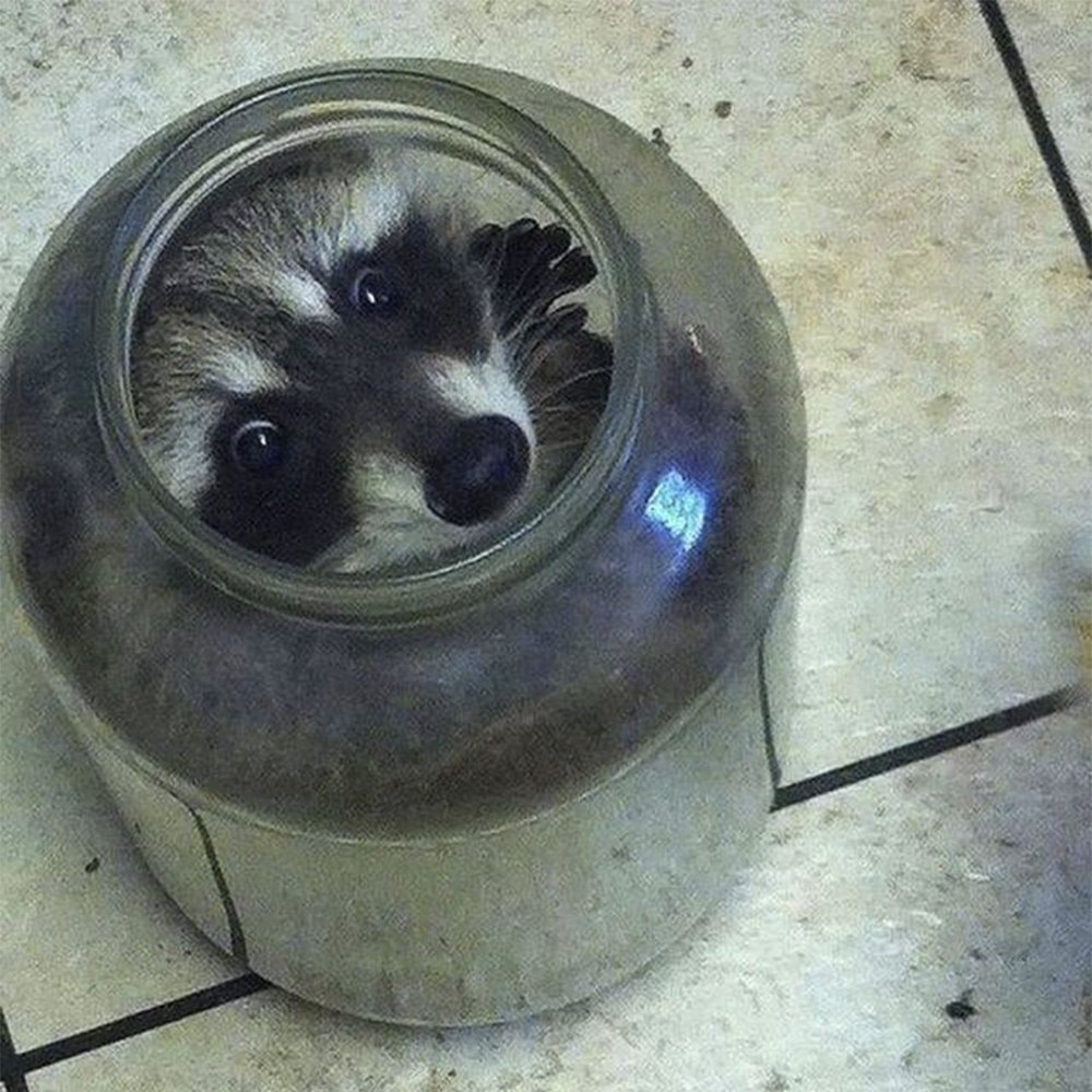    Все по плану. Но я не скажу, что за план...