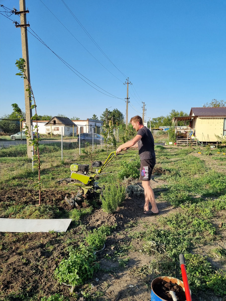 Зеленый друг