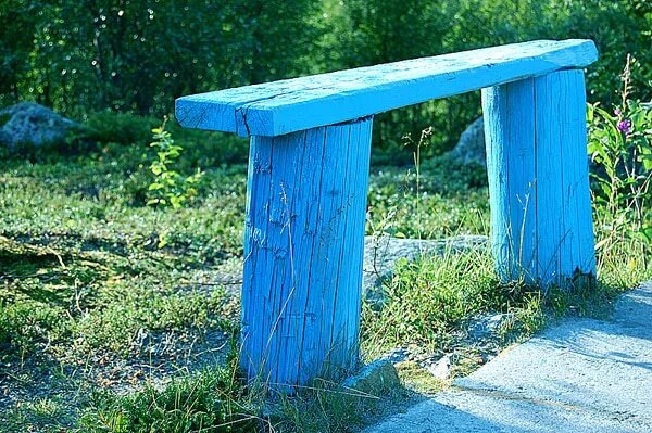 фото из интернета