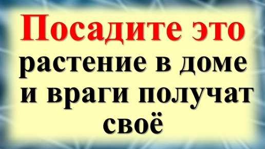 Download Video: Как защититься от врагов и вернуть достаток в дом с помощью растений и цветов. Народные приметы и традиции