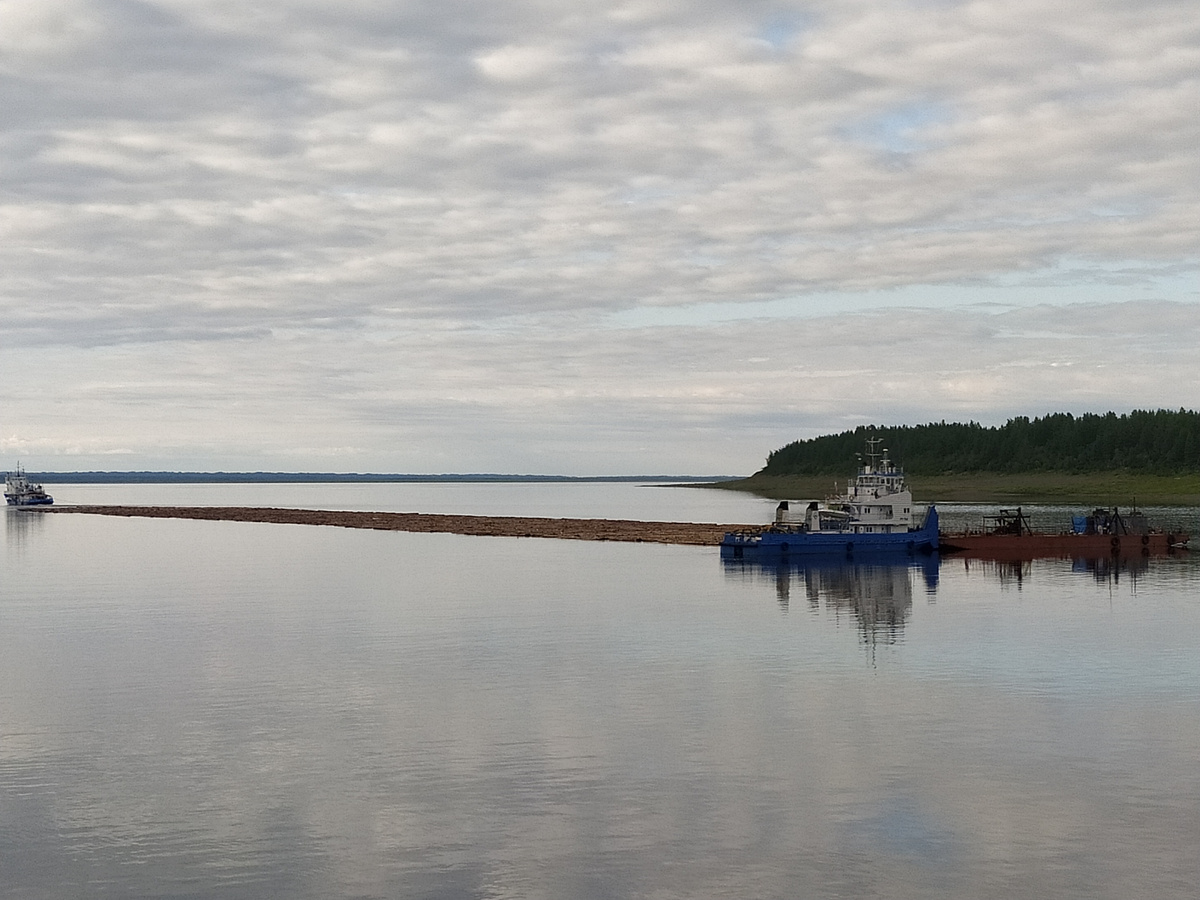 Один из таких объектов - плот из отдельных бревен, который сплавляют по реке два буксира