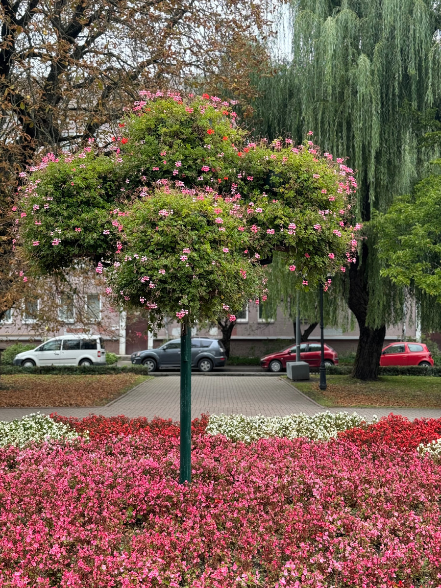 Какая красота радует в центре 