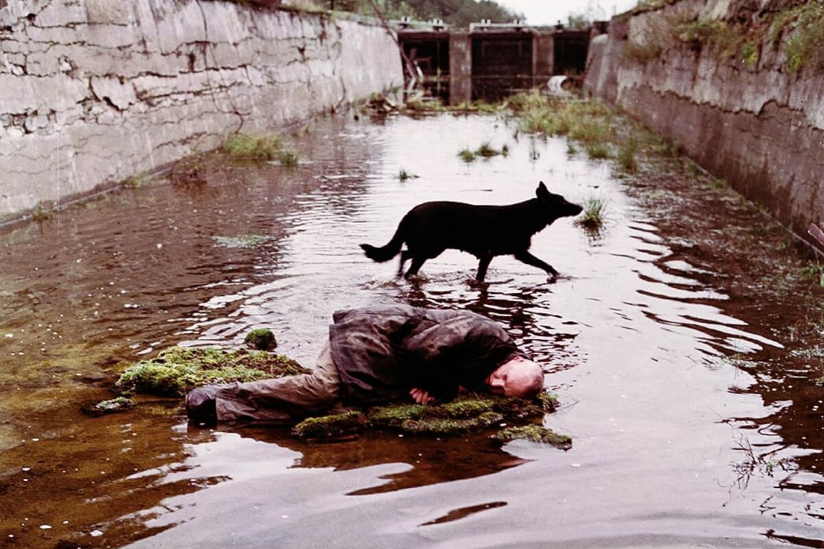 Кадр из фильма «Сталкер» (1979 г.), режиссер Андрей Тарковский