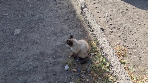 БЫЛИ В ХРАМЕ СКОРО У НАС БУДЕТ КРАСОТА😾