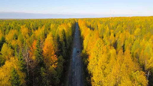 Еду в Сыктывкар