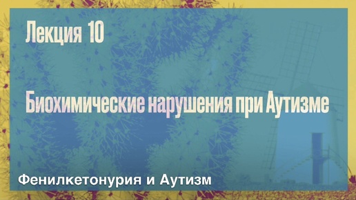 Лекция 10. Фенилкетонурия и Аутизм|Биохимические нарушения при аутизме|Нейропсихолог Дмитрий Крючков