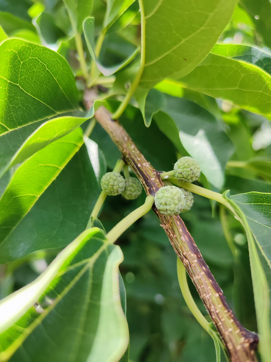 фото сделано 27 июля 2024 г.