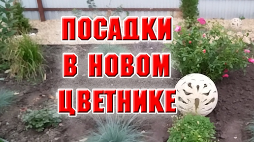 Download Video: Посадки и пересадки в новом цветнике. Проложила дорожку