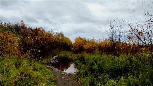 Мурманск. 01.10.24. Вид со скалы. Небольшая прогулка. Небо. дождь. Закат.