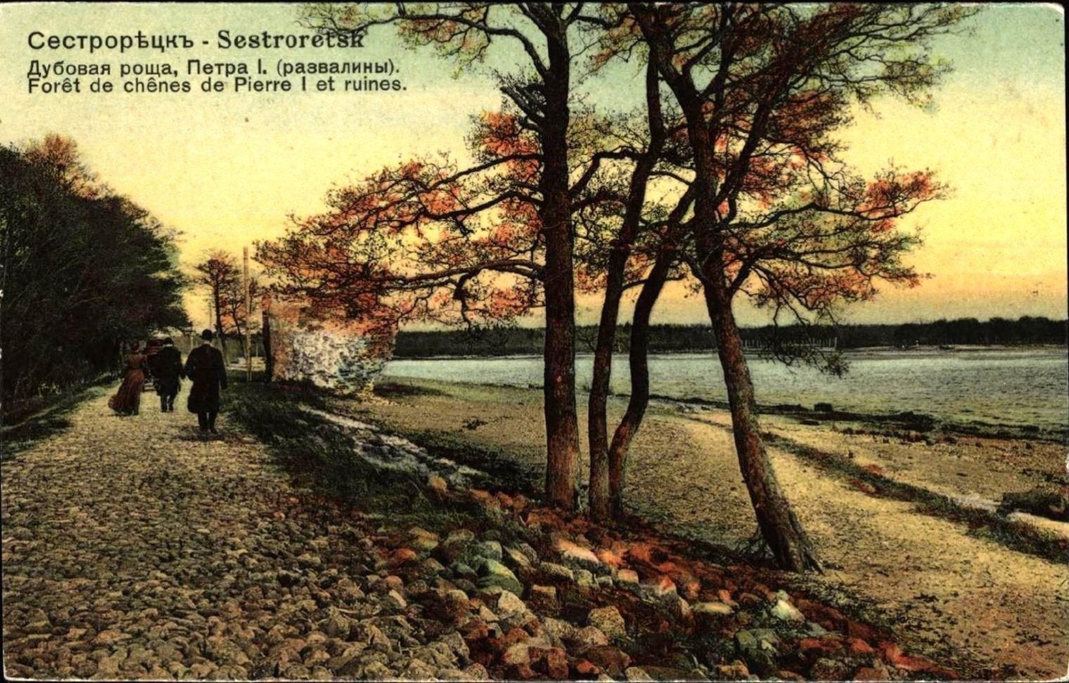 Насыпная «Дворцовая» аллея парка. 1904 – 1917 г.г.  